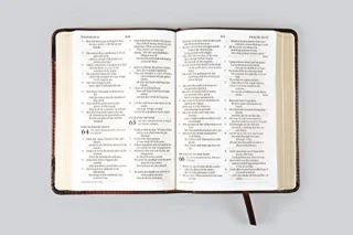 ESV Compact Bible