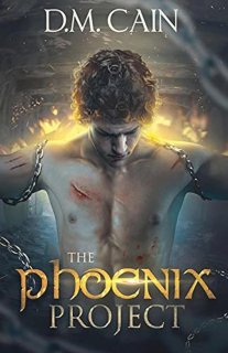 De Gene Kim - The Phoenix Project (boek) in één oogopslag