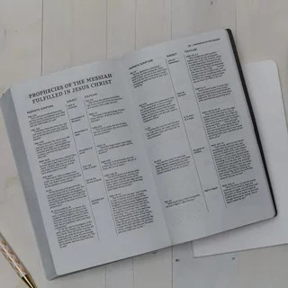New King James Version Holy Bible, Leathersoft Pink