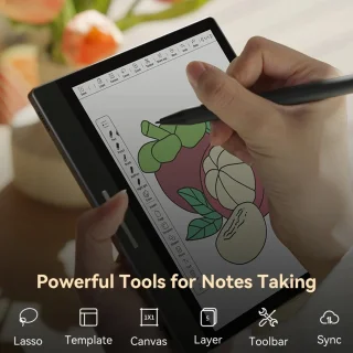 Pimstor B751C kleuren e-ink ereader