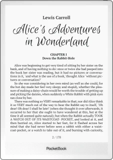 De PocketBook InkPad One e-reader - Matte Black in één oogopslag