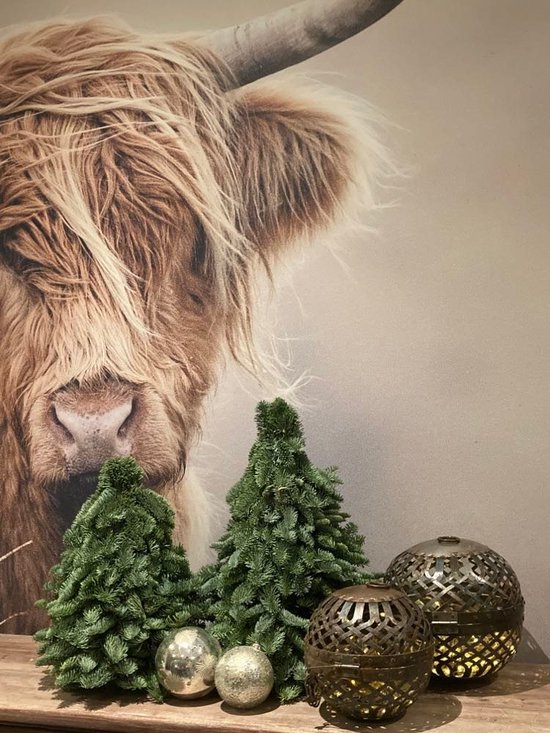 Nobilis kerstboom 40 cm Tafelboompje kerst groen mini