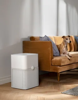 Blueair Blue Pure 221 Luchtreiniger Wit