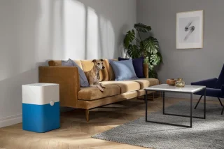 Blueair Blue Pure 221 Luchtreiniger Wit