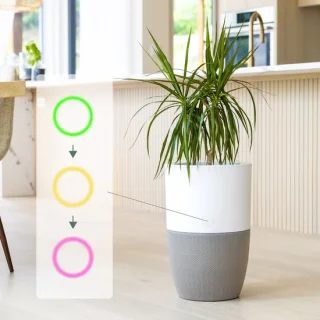 Dupray Bloom luchtreiniger met plantenbak en HEPA filter