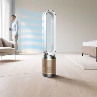 Dyson Purifier Cool PC2 De-NOx Luchtreiniger Ventilator Wit/Goud