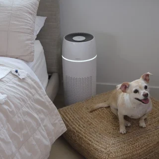 HoMedics Pet35 Luchtreiniger met Ionisator