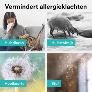 Rolfstone Air Balance Luchtreiniger met HEPA 13 en koolstoffilter