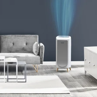 Rowenta Intense Pure Air Home PU6180 Luchtreiniger