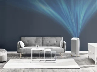 Rowenta Intense Pure Air Home PU6180 Luchtreiniger