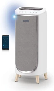 Rowenta Intense Pure Air Home PU6180 Luchtreiniger