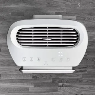 Rowenta Intense Pure Air Home PU6180 Luchtreiniger