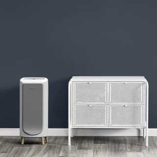 Rowenta Intense Pure Air Home PU6180 Luchtreiniger
