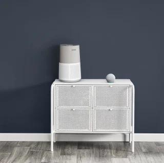Rowenta Pure Air City PU2840 Luchtreiniger