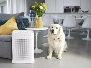 Rowenta Pure Air Genius PU3080F0 Luchtreiniger