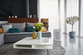 Rowenta Pure Air Genius PU3080F0 Luchtreiniger