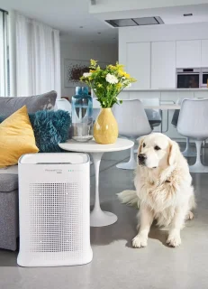 Rowenta Pure Air Genius PU3080F0 Luchtreiniger