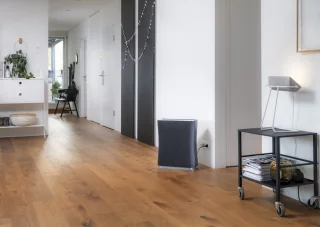Stadler Form Roger Luchtreiniger Zwart