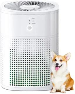 StayPowered Luchtreiniger 3in1 Zwart Kleine Ruimtes
