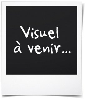 De Candy CMWA32W8DLS magnetron in één oogopslag