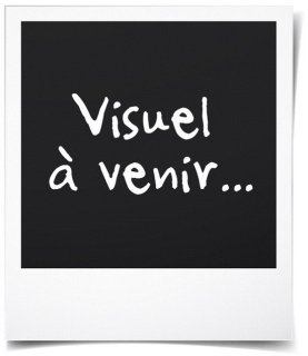 Candy CMWA32W8DLS magnetron review