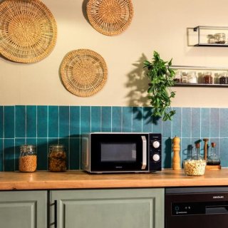 Compacte en eenvoudige krachtpatser: Cecotec ProClean 2010 Inverter