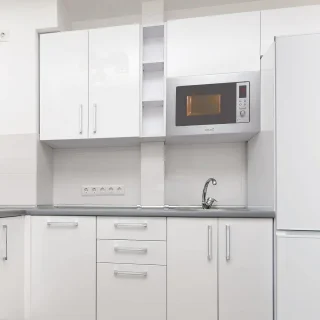 Inbouwmagnetron RVS 20L