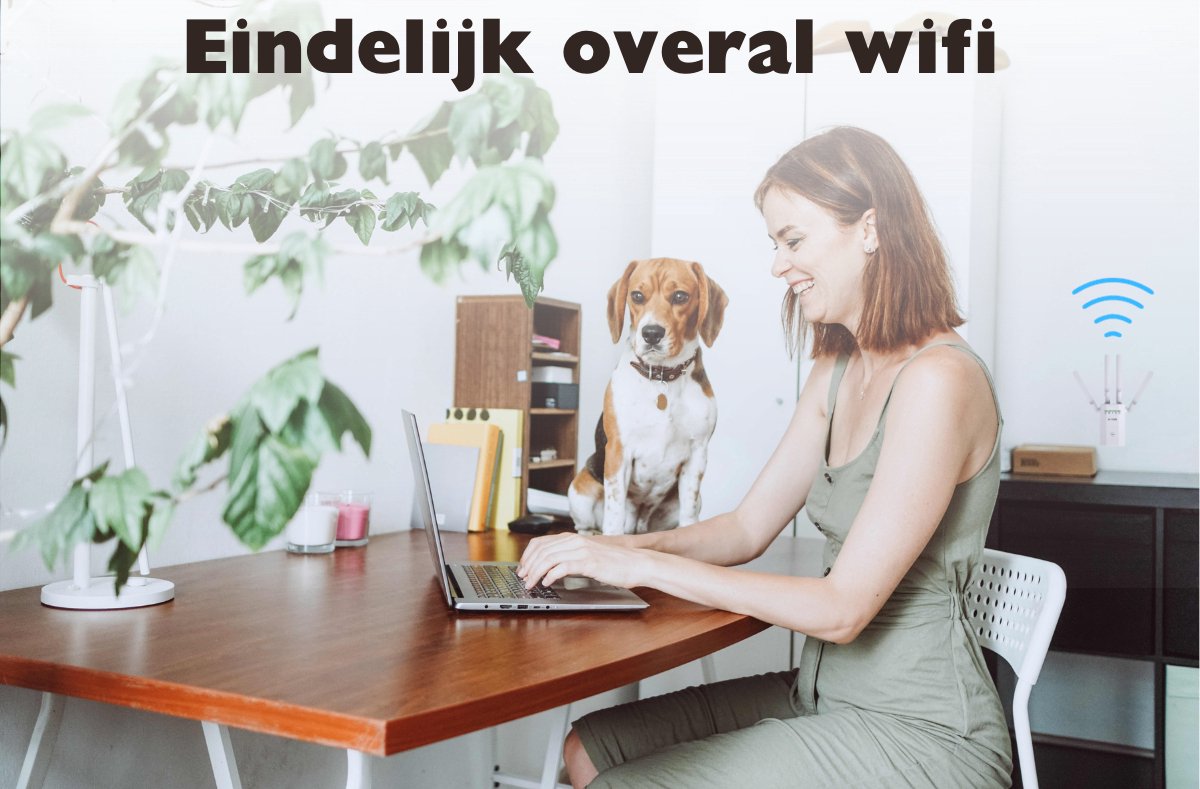 Conclusie