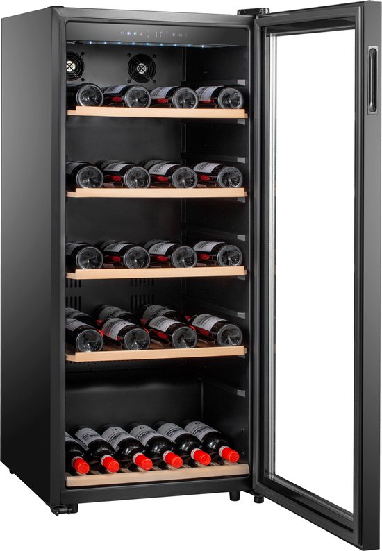 Caviss S1102CBEG Wijnkoelkast 102 Flessen review