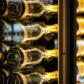 Dunavox Sera-143 Champagne Koelkast DX-143.468B