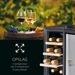 Horica Minibar Wijnkoelkast 23L met Glazen Deur