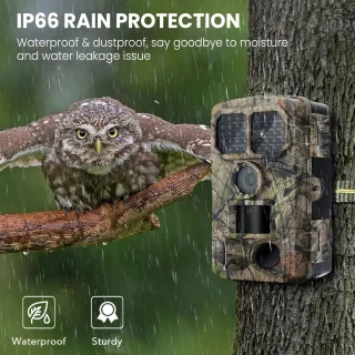 48GB Outdoor WiFi Jacht Trail Camera - 48MP Foto's - 4K Video - Nachtzicht - Bewegingsdetectie - Infrarood Sensor - APP-bediening - Wildlife Camera - IP65 Waterdicht - 128GB Ondersteuning