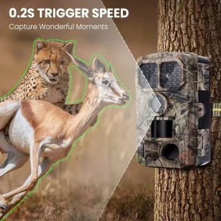 48GB Outdoor WiFi Jacht Trail Camera - 48MP Foto's - 4K Video - Nachtzicht - Bewegingsdetectie - Infrarood Sensor - APP-bediening - Wildlife Camera - IP65 Waterdicht - 128GB Ondersteuning