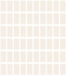 60 stuks anti-fog-inserts voor actiecamera