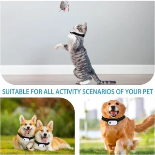 Action Camera voor Hond en Kat met 32GB SD-kaart en Halsband