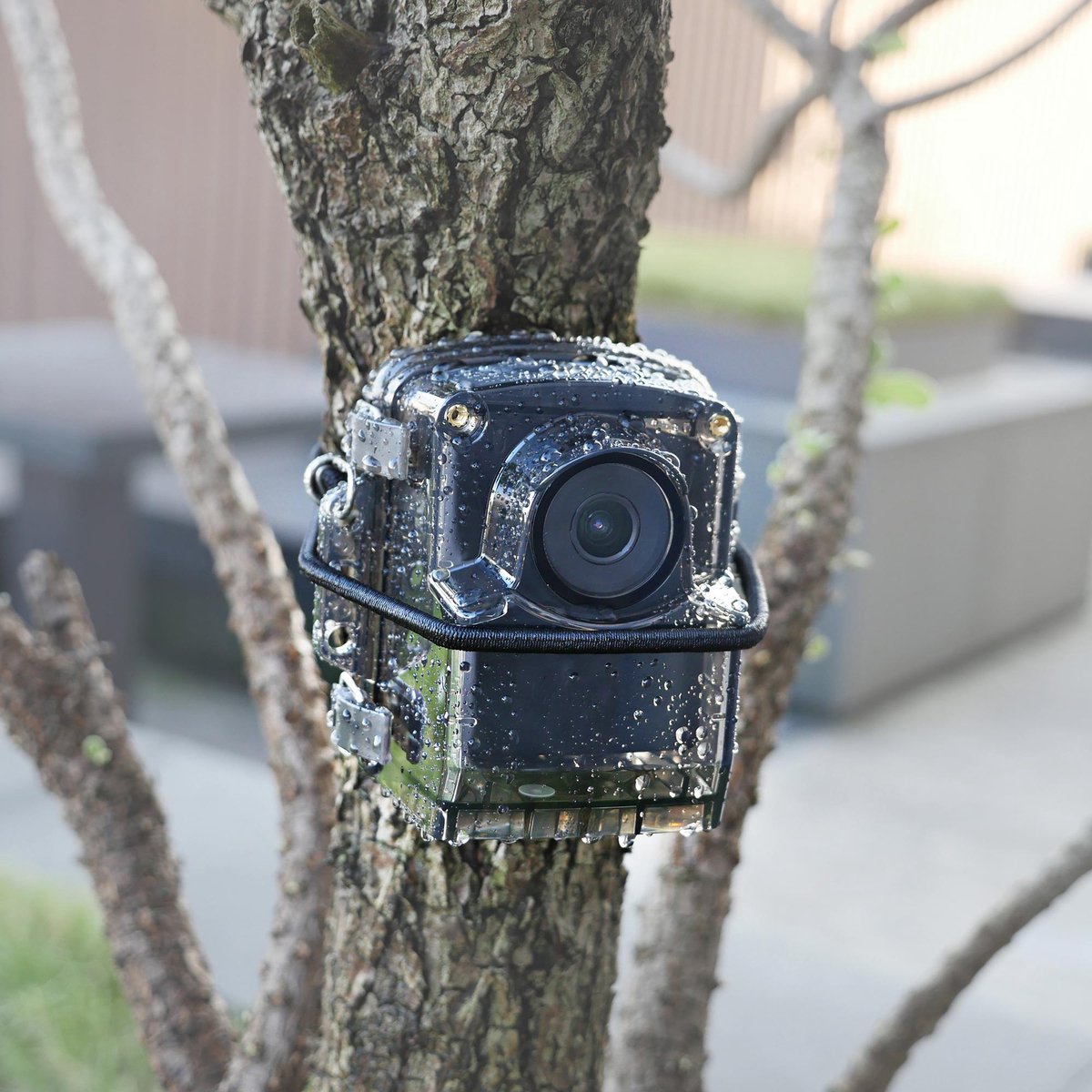 Brinno TLC2020H Timelapse Camera Bundel