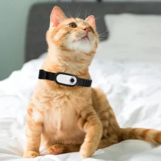 Collar Camera - Pet Tracker voor Katten en Honden