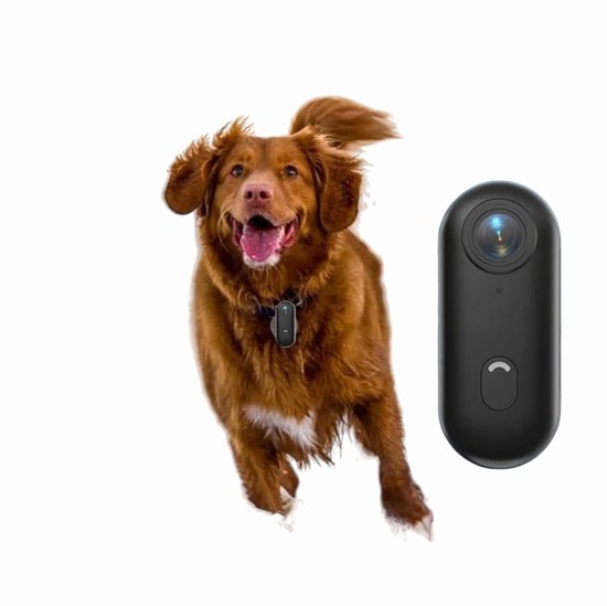 HD Hondencamera Wifi Sport Smartphone