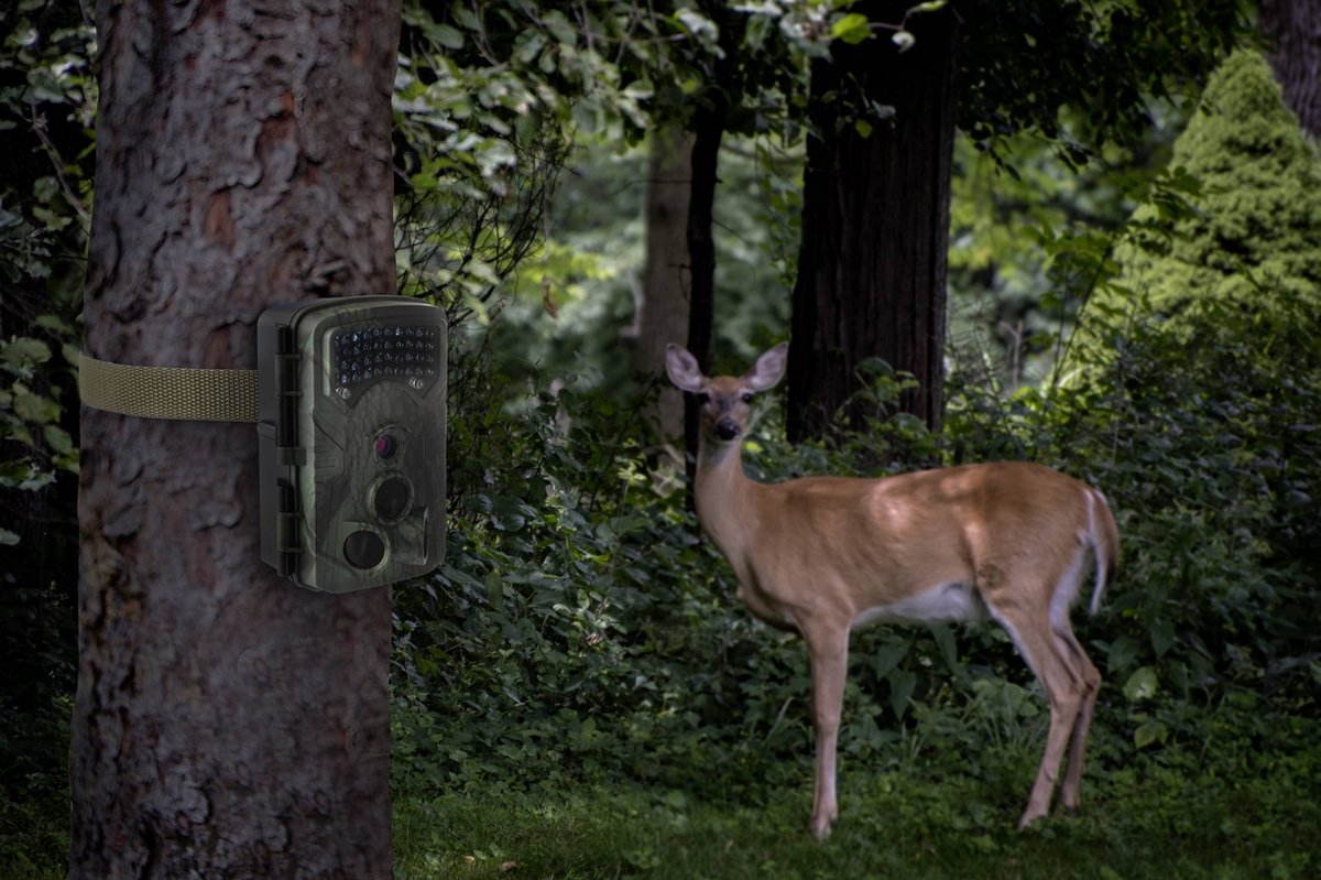 Renkforce RF-HC-550 Camera Trap 13MP