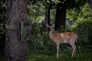 Renkforce RF-HC-550 Camera Trap 13MP