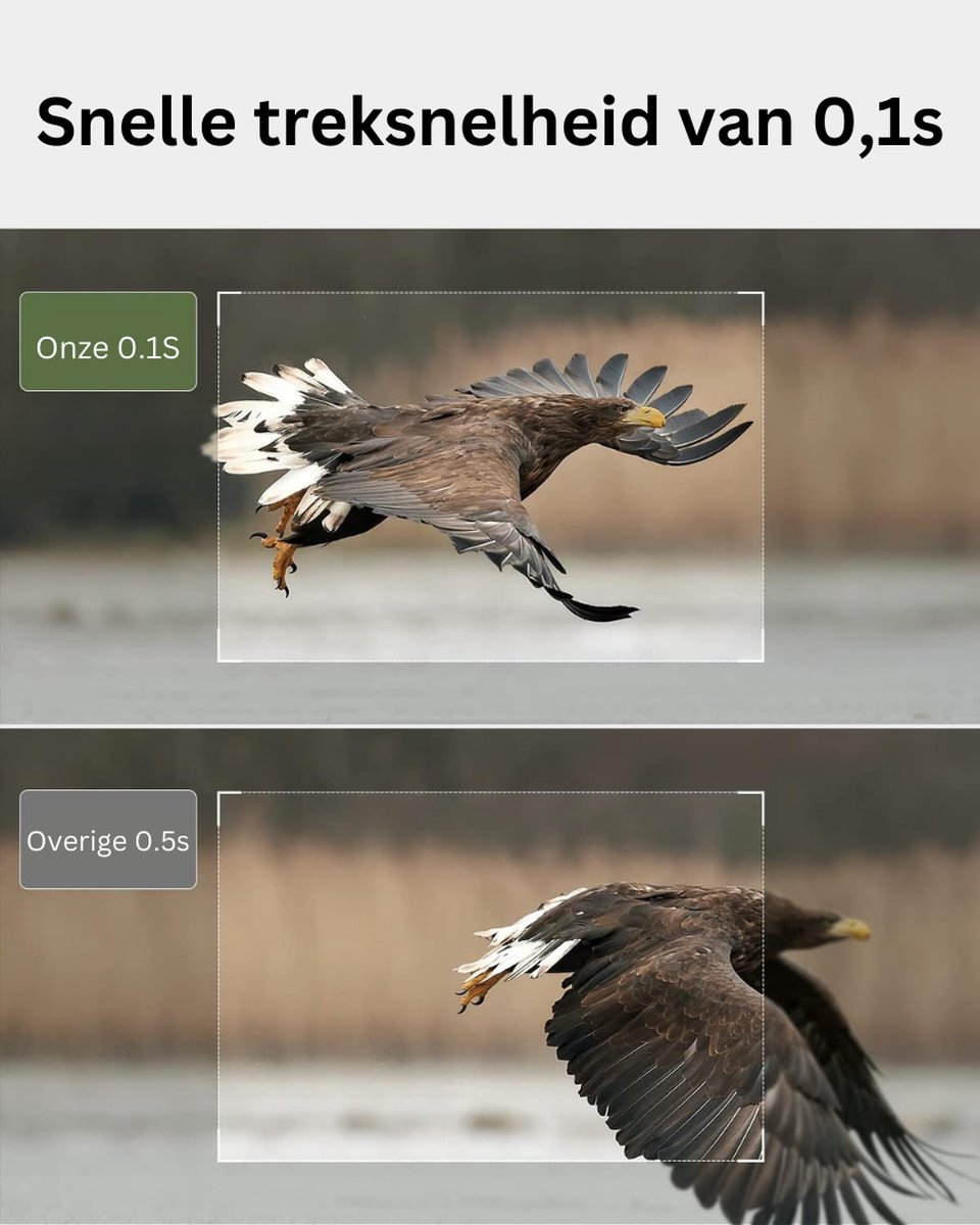 Wildcamera 4K 40MP WiFi Bluetooth met zonne-energie en nachtzicht