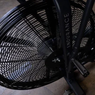 Endurance FB300 Fan Bike