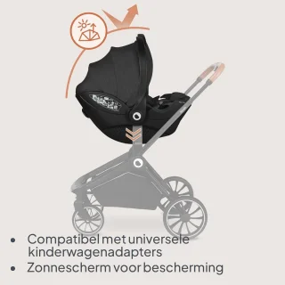 Autostoel Groep 0+ 40-87 cm