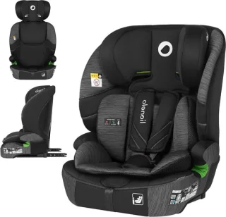 Autostoel Kinderzitje Meegroeifunctie 76-150 cm Grijs
