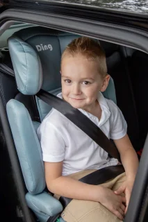 Ding Riley Autostoel