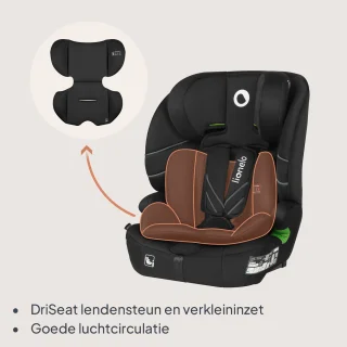Lionelo Levi Fix i-Size Autostoeltje Red