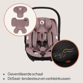 Conclusie