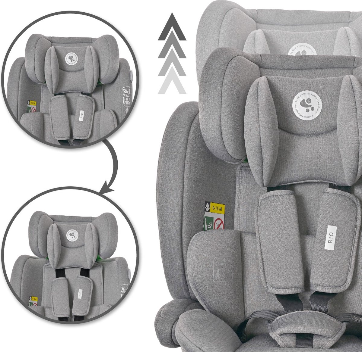 Lorelli Rio Grey i-Size Autostoel 76-150 cm