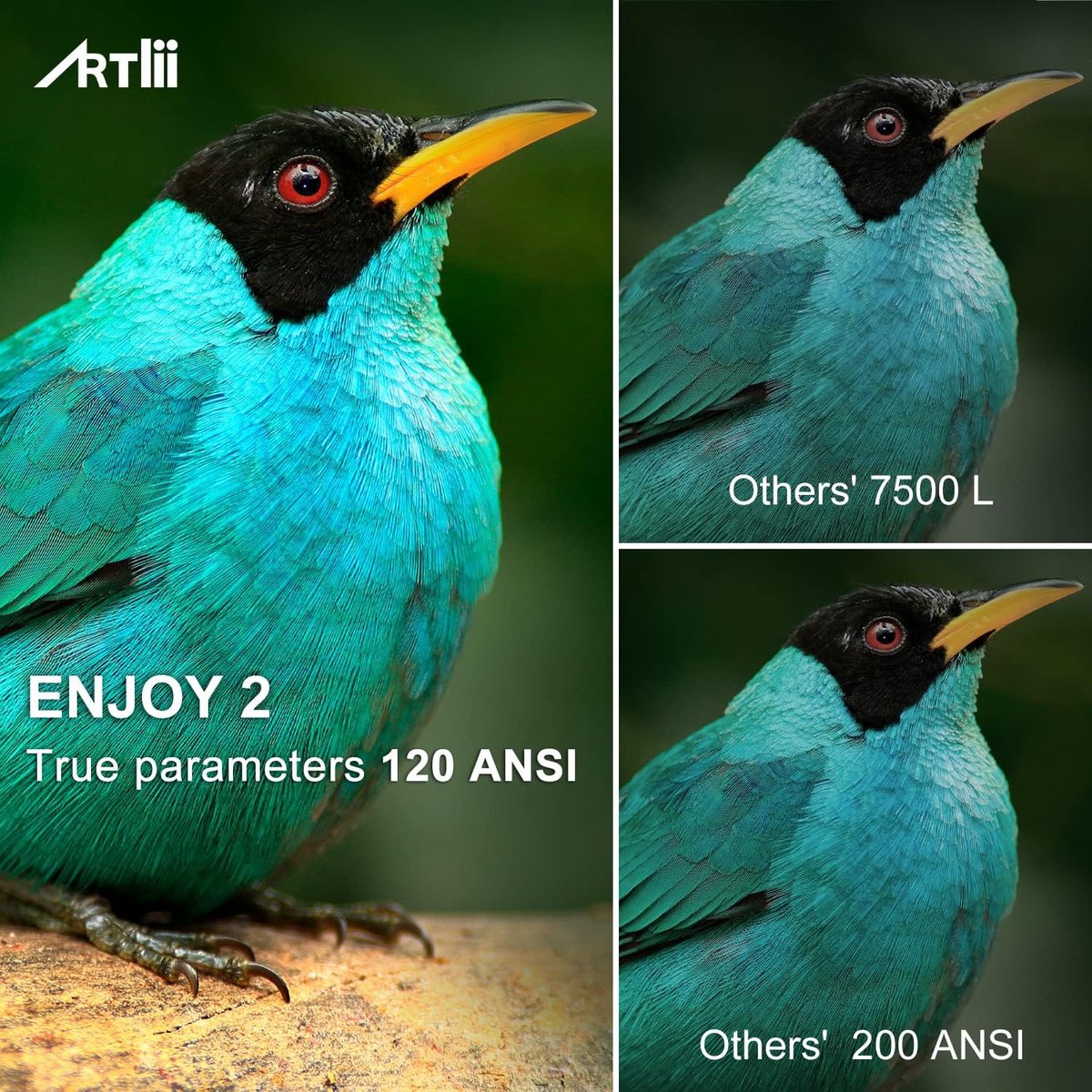 Artlii Enjoy2 Mini Beamer Full HD Projector