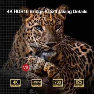 Beamer - Projector - Mini Projector - Full HD Native 1080P - met 120-inch E-ALR Projectorscherm & Stand – Outdoor Camping & Home Theater – EU Plug